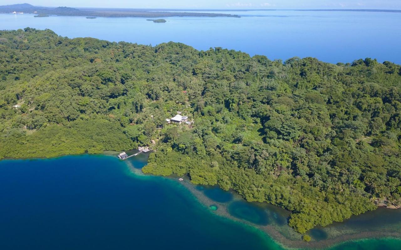 Finca Vela Lodge Bocas Town Kültér fotó