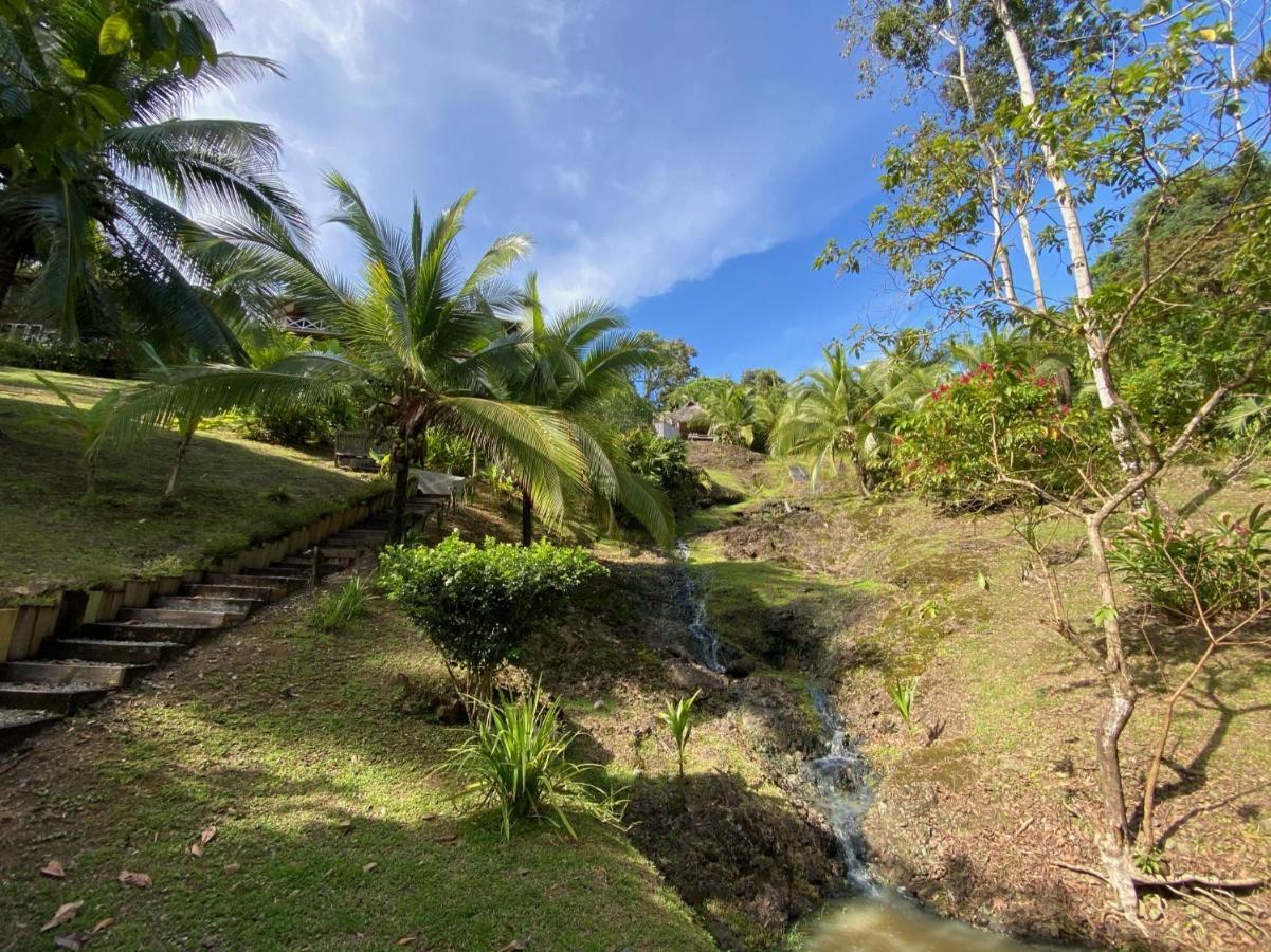 Finca Vela Lodge Bocas Town Kültér fotó
