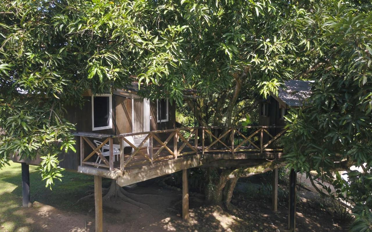 Finca Vela Lodge Bocas Town Kültér fotó