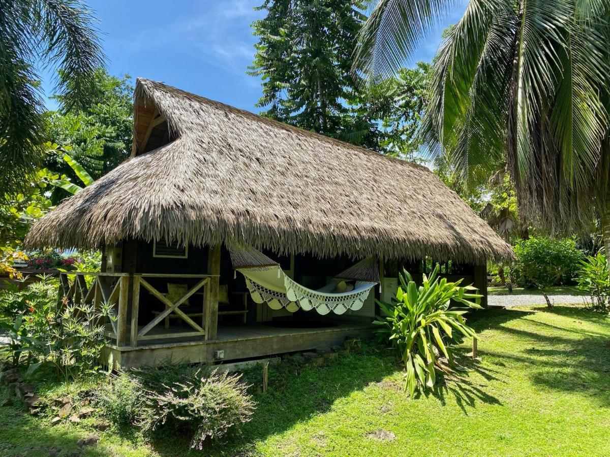 Finca Vela Lodge Bocas Town Kültér fotó