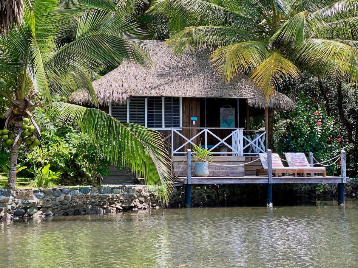 Finca Vela Lodge Bocas Town Kültér fotó