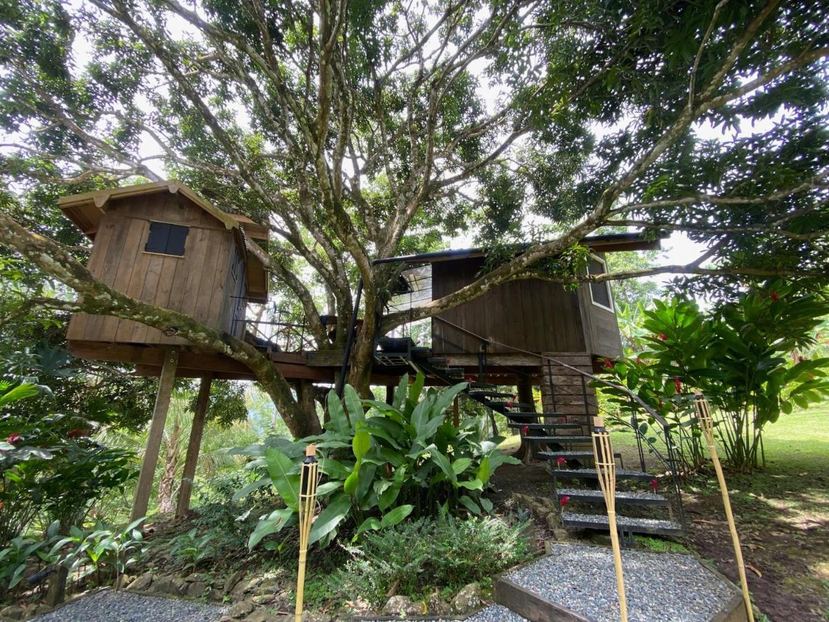 Finca Vela Lodge Bocas Town Kültér fotó