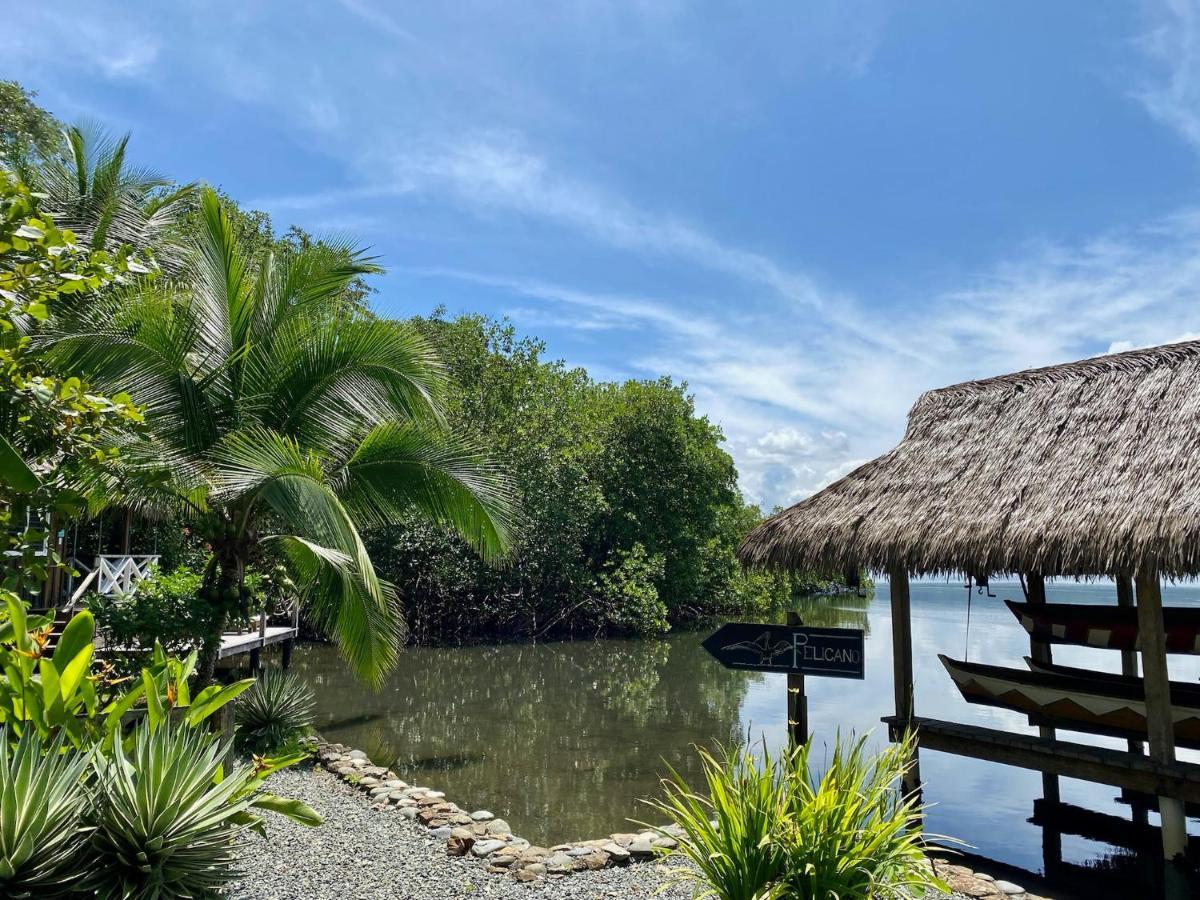 Finca Vela Lodge Bocas Town Kültér fotó