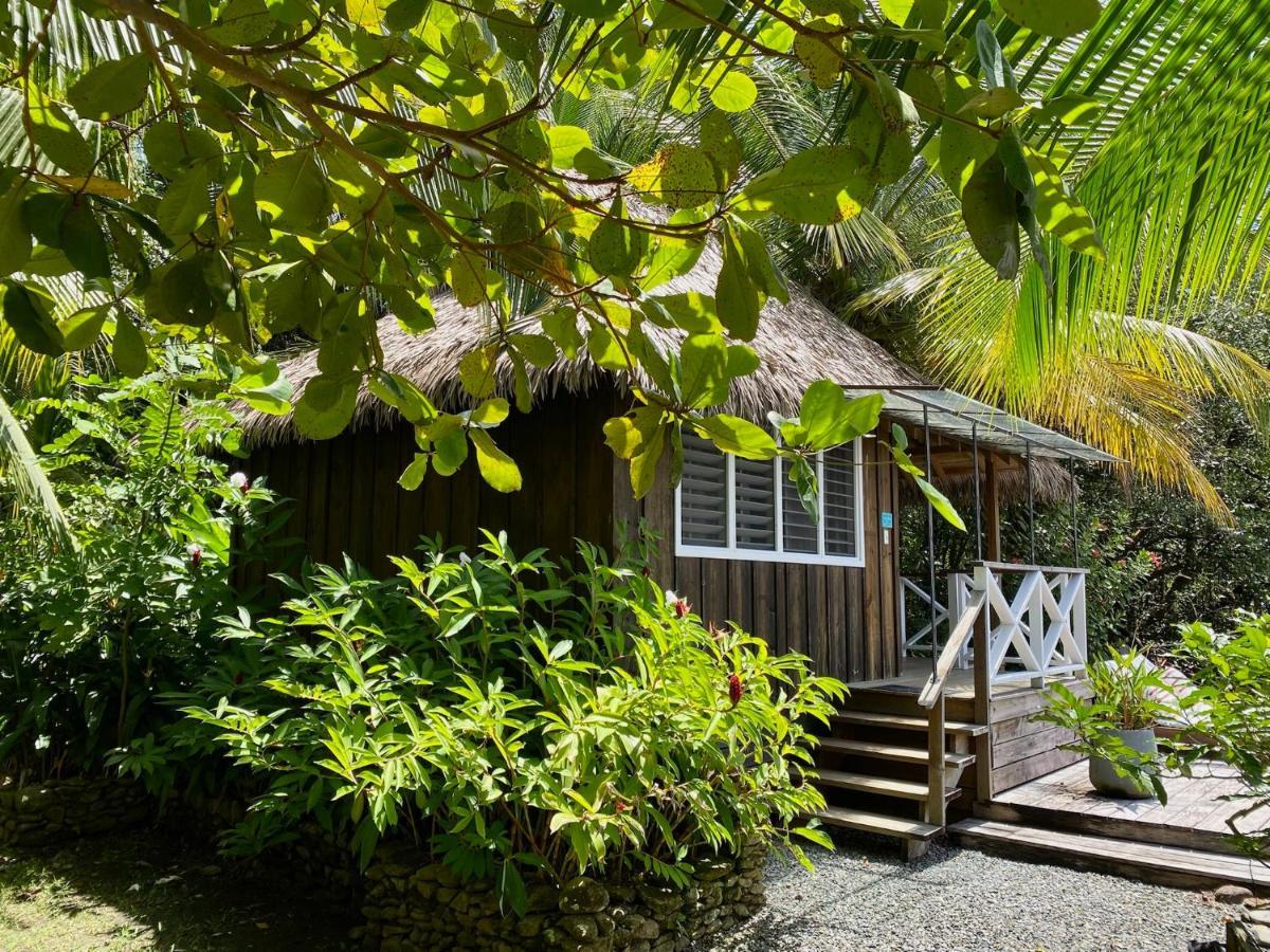 Finca Vela Lodge Bocas Town Kültér fotó