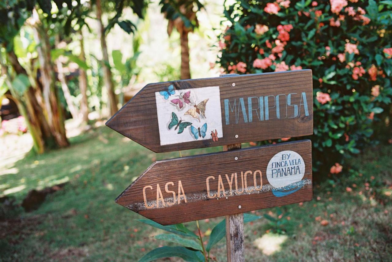 Finca Vela Lodge Bocas Town Kültér fotó