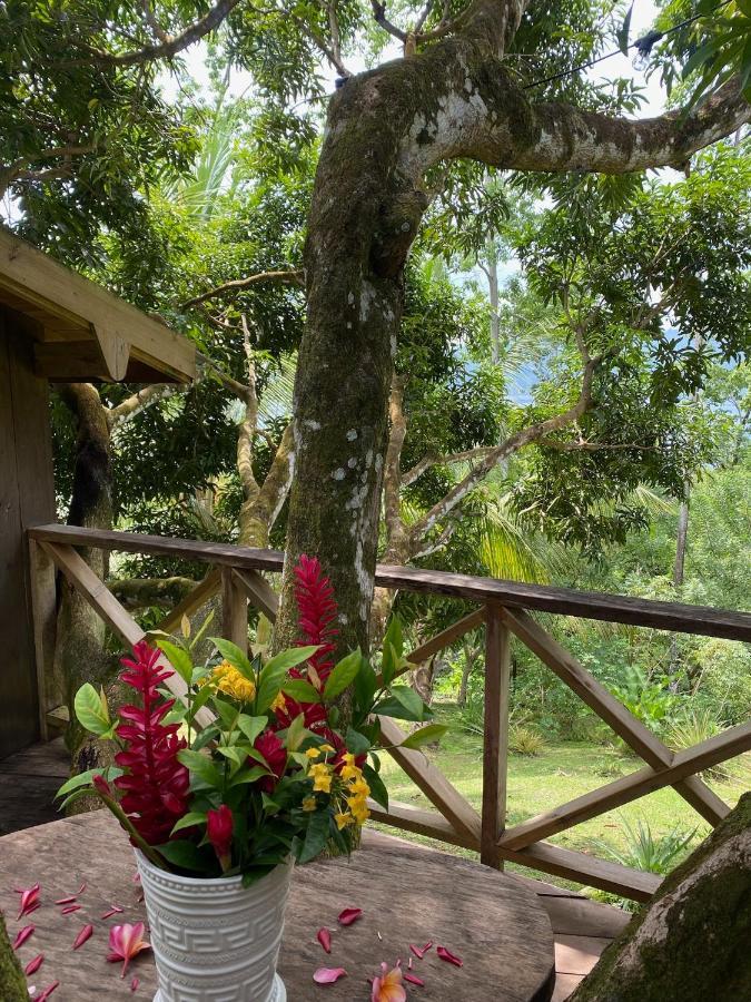 Finca Vela Lodge Bocas Town Kültér fotó