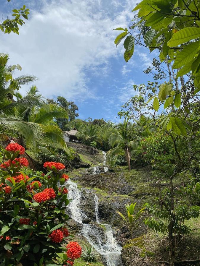 Finca Vela Lodge Bocas Town Kültér fotó