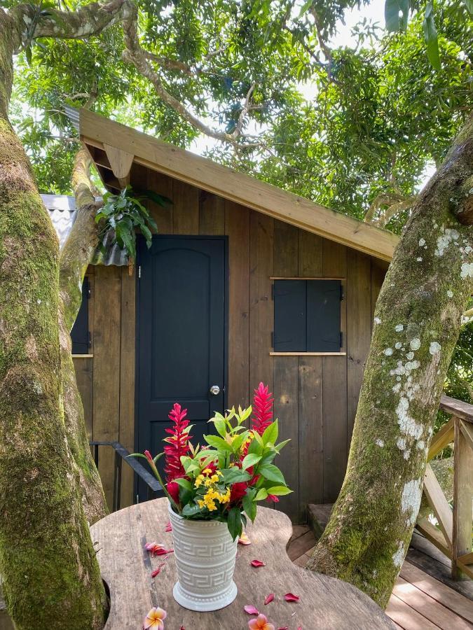 Finca Vela Lodge Bocas Town Kültér fotó