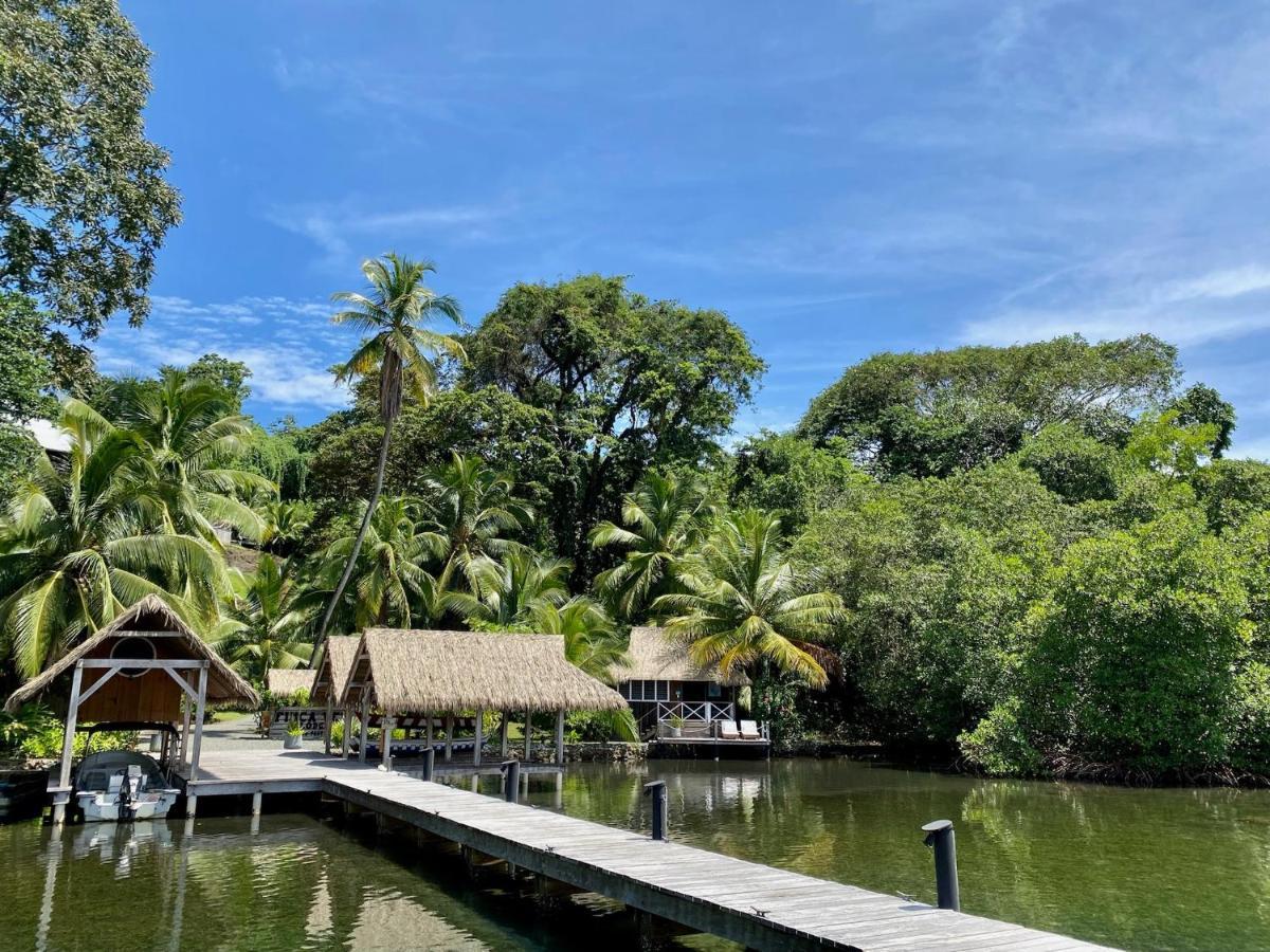 Finca Vela Lodge Bocas Town Kültér fotó