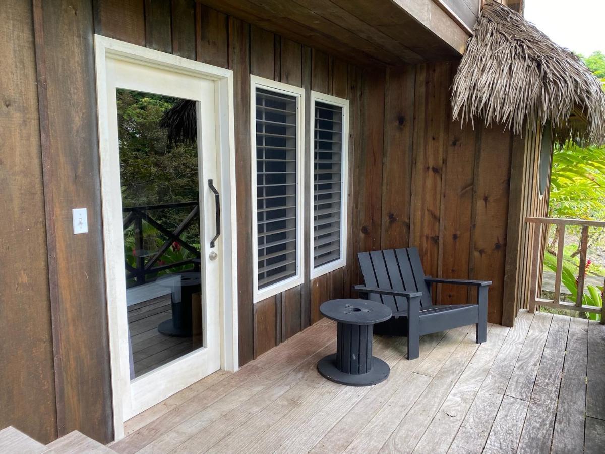 Finca Vela Lodge Bocas Town Kültér fotó