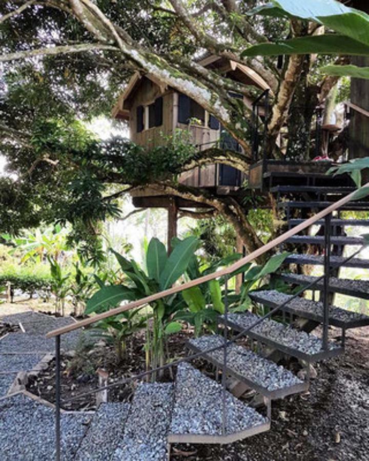 Finca Vela Lodge Bocas Town Szoba fotó
